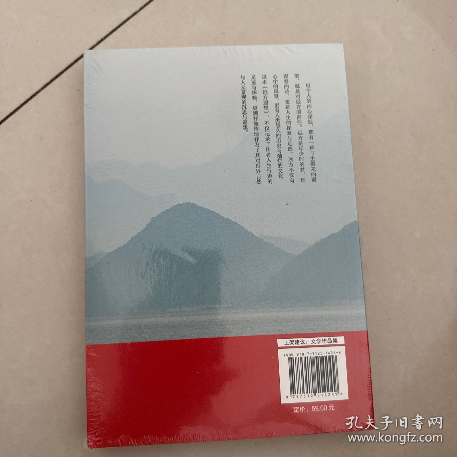 远方遐想