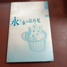 永不说再见