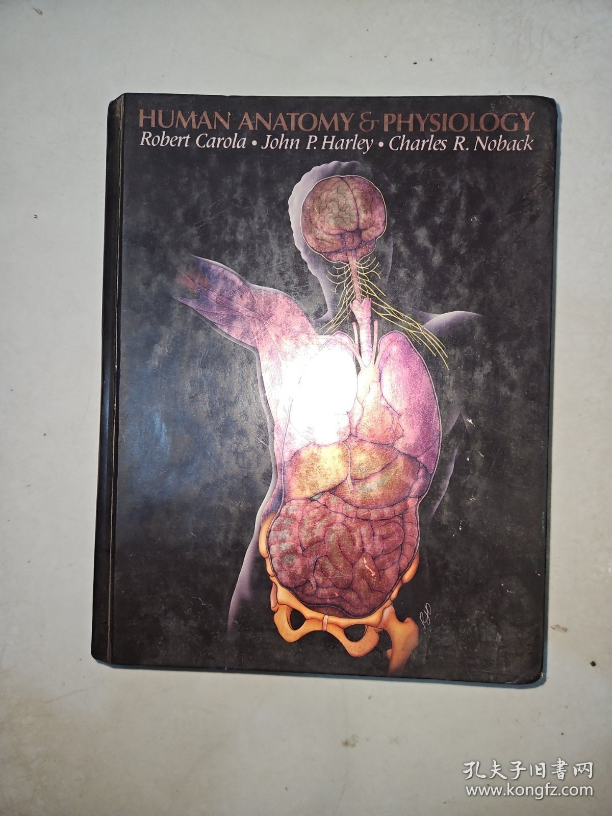 Human anatomy and physiology 人体解剖学和生理学（精装英文原版）