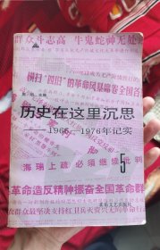 历史在这里沉思5：1966-1976年记实