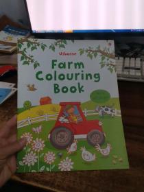 Farm First Colouring Book with Stickers