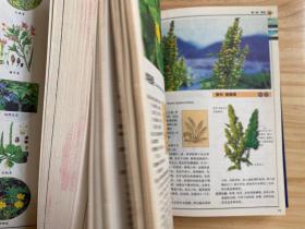 319种中国野菜图鉴.