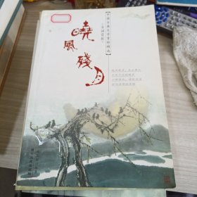 晓风残月：宋词赏析——中国古典文学赏析精选适合中小学生课外阅读。增加语文学习能力。