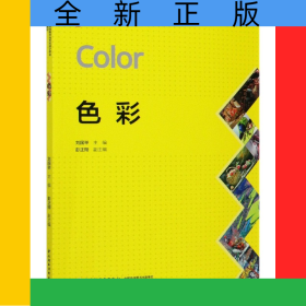 色彩(高等院校美術(shù)與藝術(shù)設(shè)計(jì)專業(yè)系列教材)