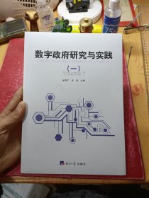 数字政府研究与实践（一）