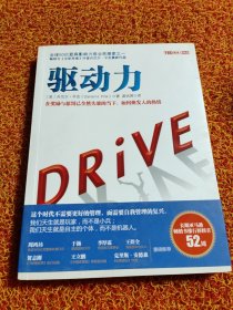 驱动力：在奖励与惩罚都已失效的当下 如何焕发人的热情