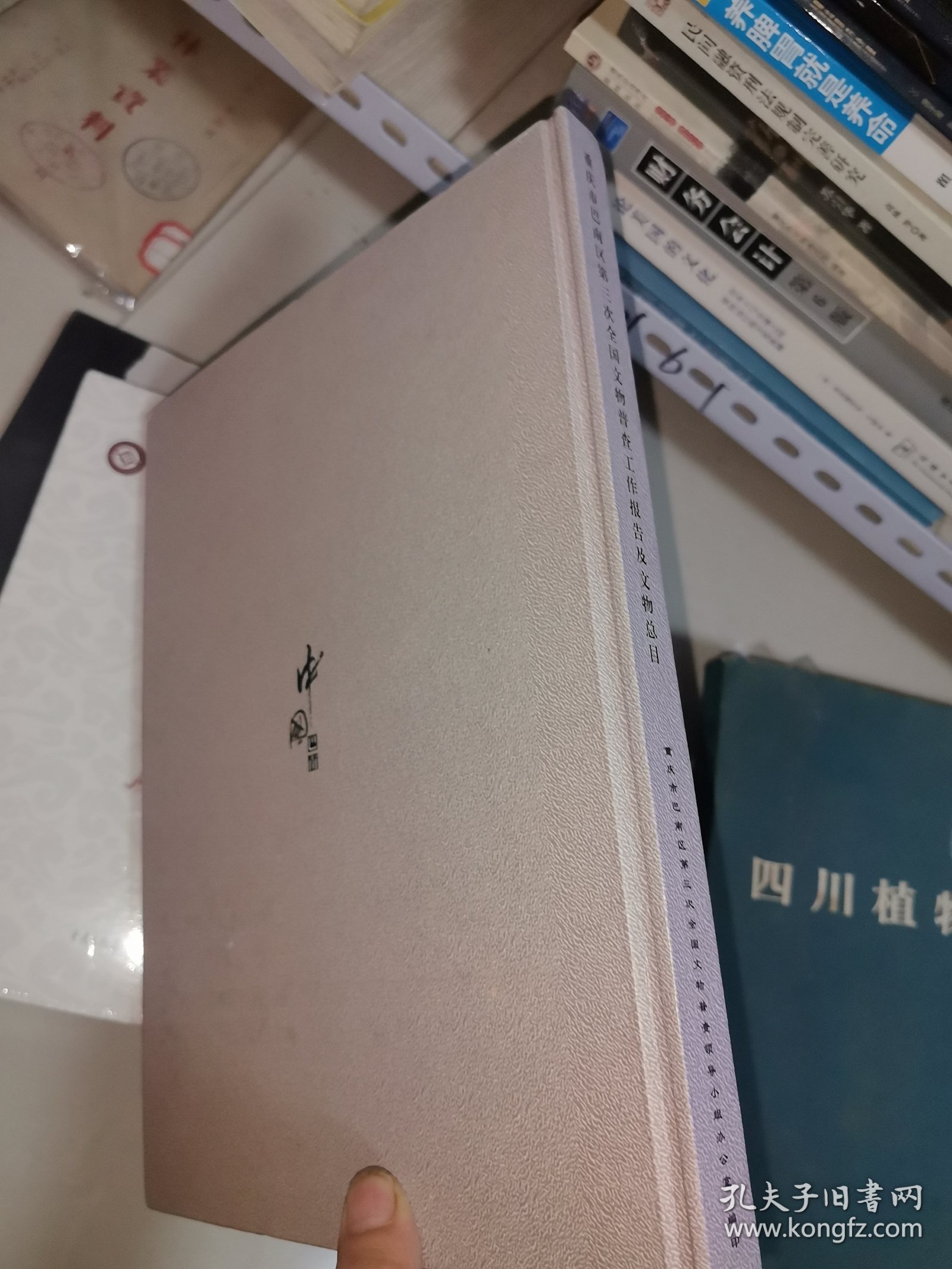 重庆市巴南区第三次全国文物普查工作报告及文物总目