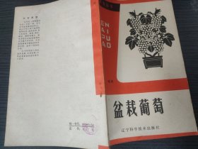 盆栽葡萄（吴景敬 编著，辽宁科学技术出版社，1983-9 一版一印。下单改价，国内4元包挂刷。）