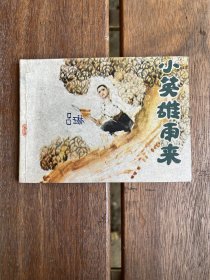 小英雄雨来