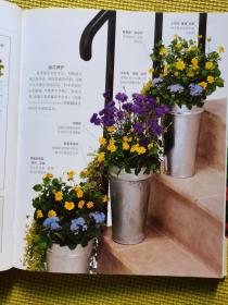 室内盆栽花卉和装饰