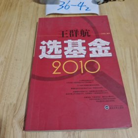 王群航选基金2010