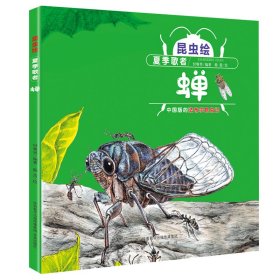 【正版书籍】精装绘本昆虫绘：夏季歌者--蝉