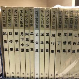 沈从文别集：沈从文别集(全20册)