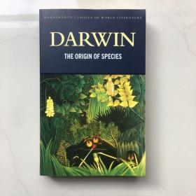 The Origin of Species /Charles Darwin Wordsworth Editions 达尔文物种起源