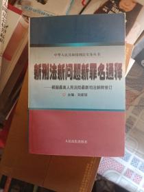 新刑法新问题新罪名通释 : 根据全国人大常委会刑法修正案和“两高”最新司法解释编写