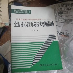 企业核心能力与技术创新战略