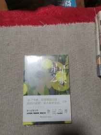 星星之眼（知名导演陈嘉上感动推荐，随书附赠原创文艺风卡片）