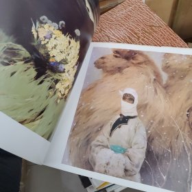 林岗庞涛油画选