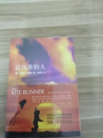 追风筝的人