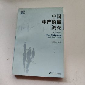 中国中产阶层调查