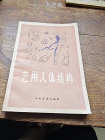 艺用人体结构