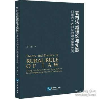 农村法治理论与实践——以国内外农村法治建设案例为例