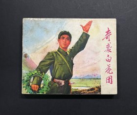 样板戏—奇袭白虎团