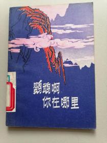 《鹦鹉啊 你在哪里》少儿历史传说，79年1版1印插图本