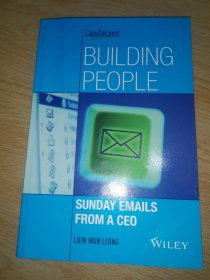 Building People: Sunday Emails from A CEO[建设人类：首席执行官周日来信]