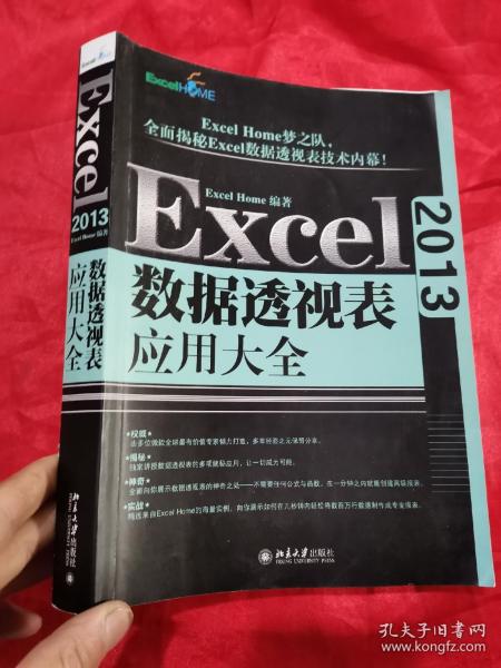 Excel 2013数据透视表应用大全