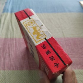 中国象棋一副 北京永红塑料制品丁