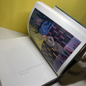 彼得.多伊格 英文原版 Peter Doig 艺术 书籍 个体艺术家 绘画