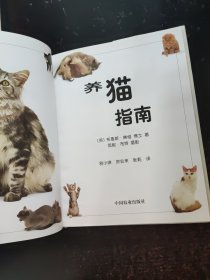 养猫指南