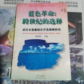 蓝色革命:跨世纪的选择:武汉水资源综合开发战略研究（包邮）
