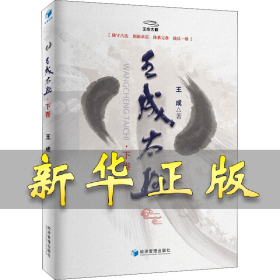 王成太极（下卷）