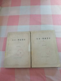 大卫·科波菲尔（共两册）【有印章，品相看图】