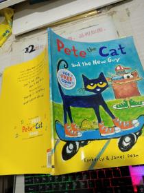 Pete the cat and the New Guy