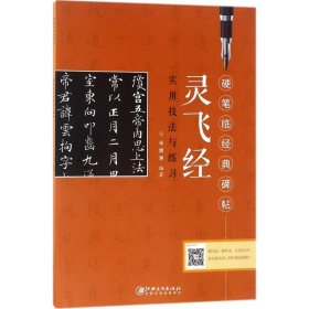 《灵飞经》实用技法与练习宋炳坤 编著江西美术出版社9787548058137全新正版