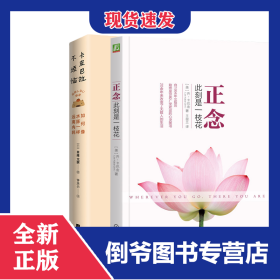 卡皮巴拉不烦恼+正念：此刻是一枝花2册 9787559484963