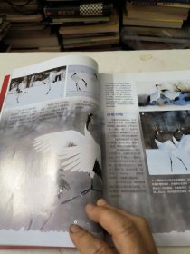 博物2022年02