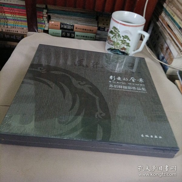 风雅颂摄影艺术:行走的风景 苏碧群摄影作品集【全新原装带盒】