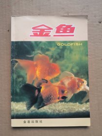 金鱼