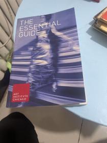 THE ESSENTIAL GUIDE