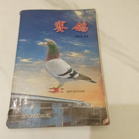 赛鸽