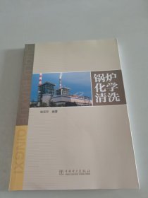 锅炉化学清洗