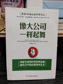 像大公司一样起舞/世界500强高效管理笔记