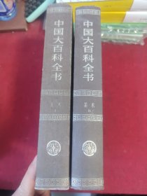 中国大百科全书：美术（上下）（2003年修订本）