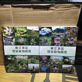 丽江地区常见植物图鉴