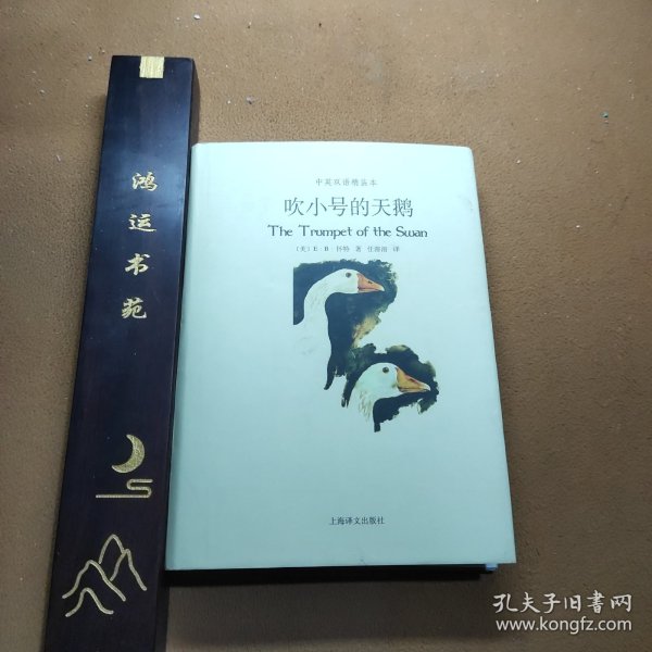 吹小号的天鹅