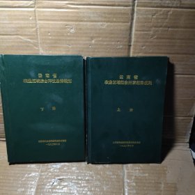 云南省农业区域综合开发总体规划【上下册】